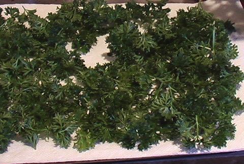 parsley 2 dry